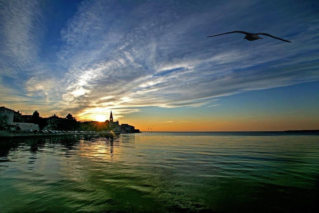 Apartments Villa Mimi Višnjan Dış mekan fotoğraf